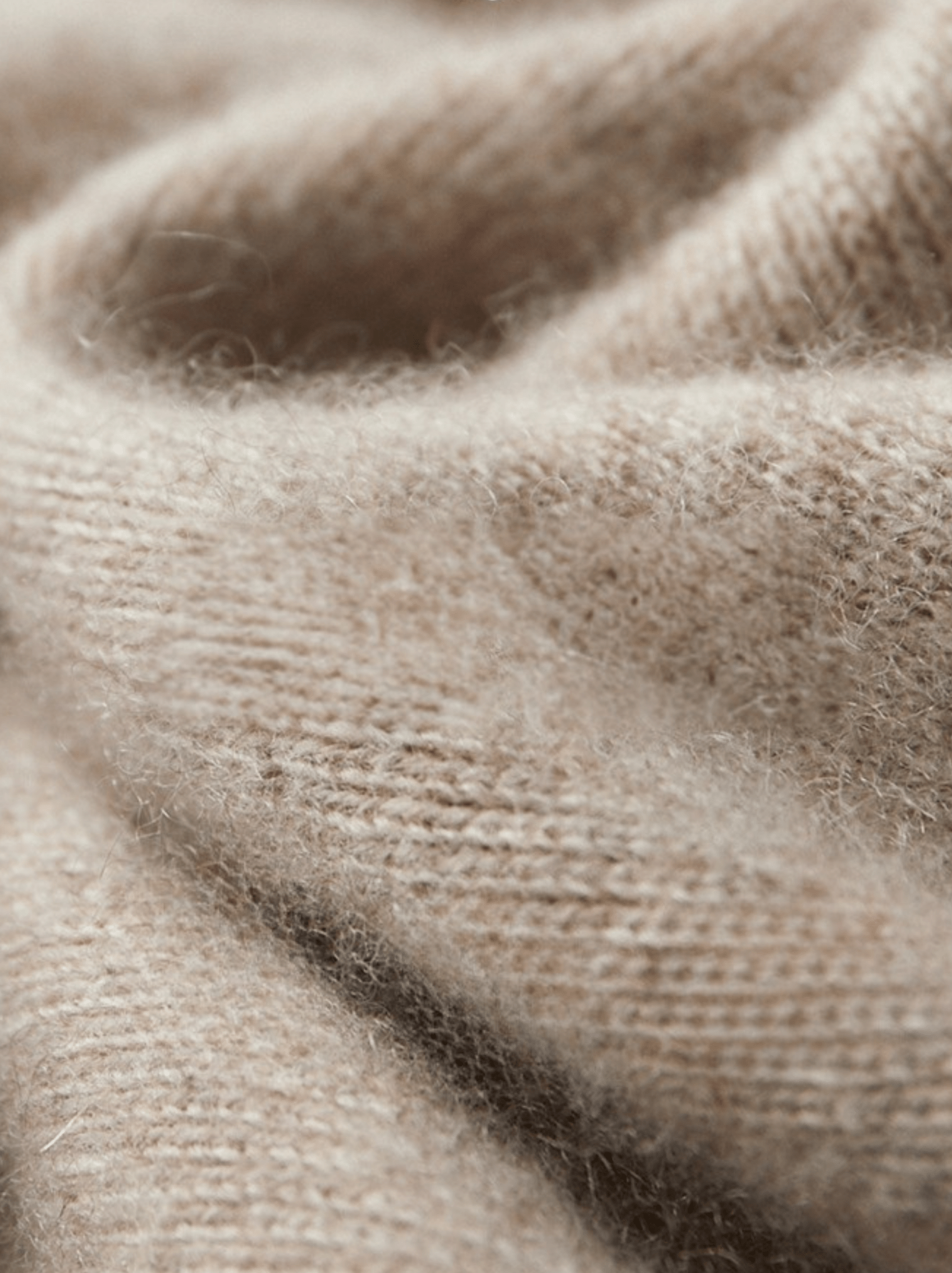 Soft Wool Slim Ankle Sweatpants - Louvelle